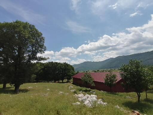 Farma&Apartmani Delić Korenica Zewnętrze zdjęcie